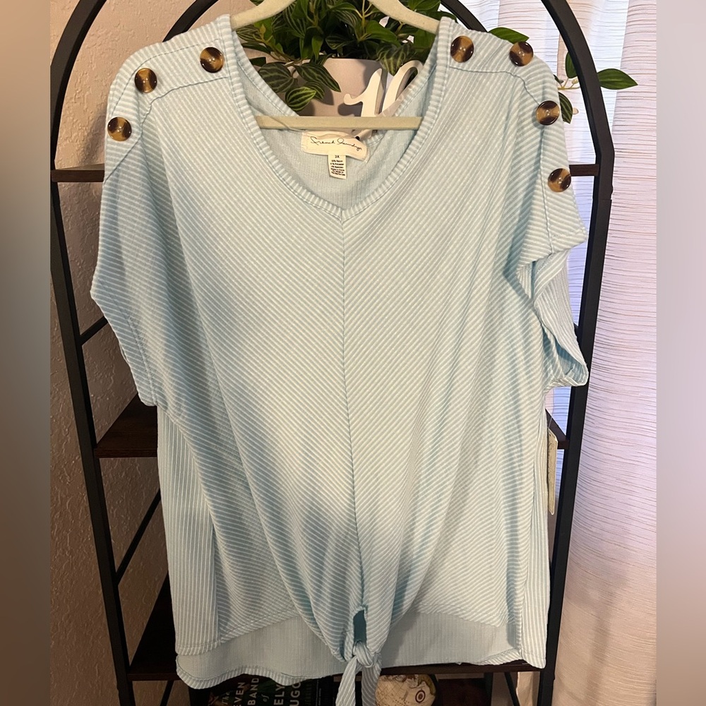 French Laundry Sky Blue Button-Accent Blouse